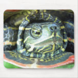 Gemalte Schildkröte (Chrysemys picta) 2 Mauspad