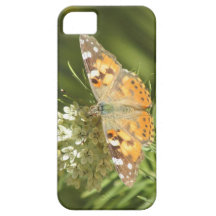 Gemalter Dame Butterfly iPhone 5 Fall Schutzhülle Fürs iPhone 5