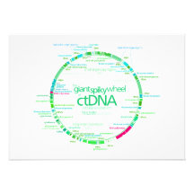 Gen-Karte des Diagramms des Tabak-Chloroplast-DNS Ankündigungskarte