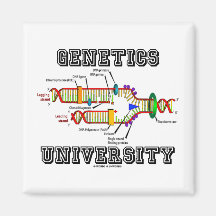Genetik-Universität (DNS-Reproduktion) Magnete