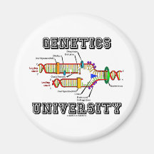 Genetik-Universität (DNS-Reproduktion) Kühlschrankmagnet