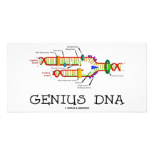Genie DNA (DNA-Reproduktions-Spaß) Personalisierte Photo Karte