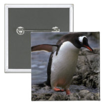 Gentoo Pinguin Anstecknadelbuttons