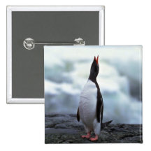 Gentoo Pinguin Buttons