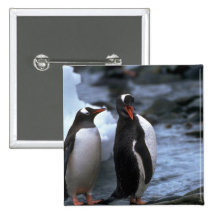 Gentoo Pinguine Anstecknadelbuttons