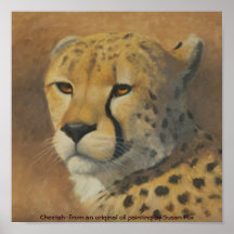 Gepard Plakate