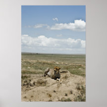 Gepard Posterdruck