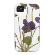 Gepresste Blumen-Entwürfe Vibe iPhone 4 Hülle