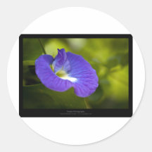 Gerade eine Blume - blaue Blume 006 Runder Aufkleber