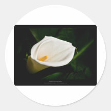 Gerade eine Blume - Blume 020 der weißen Lilie Runde Aufkleber