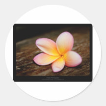 Gerade eine Blume - einfache Blume 003 Runde Aufkleber