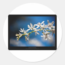 Gerade eine Blume - weiße Blume 004 Runde Aufkleber