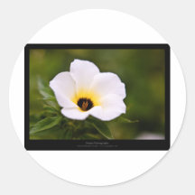 Gerade eine Blume - weiße Blume 019 Runde Aufkleber
