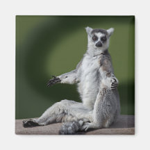 Gerade kalter Magnet Kühlschrankmagnete