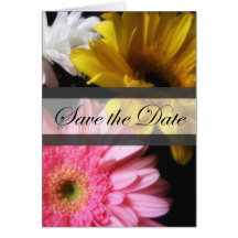 Gerbera-Gänseblümchen 8 Save the Date Wedding Grußkarten