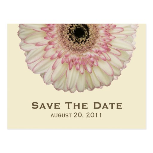 Gerbera-Gänseblümchen-Save the Date Postkarte