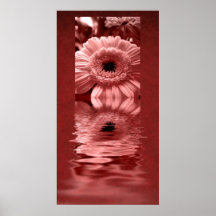 Gerbera Plakat