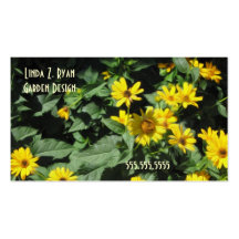 Geschäfte G008 - SommerSunHeliopsis Visitenkarten Vorlage