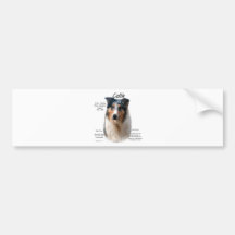 Geschichtsentwurf des Collie-(glattes merle) Autoaufkleber