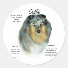 Geschichtsentwurf des Collie-(raues merle) Runder Sticker
