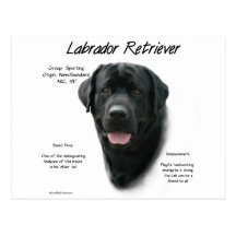 Geschichtsentwurf Labrador retrievers (Schwarzes) Postkarten