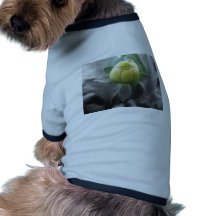 Geschlossene Blütenaufnahme Hund Shirts