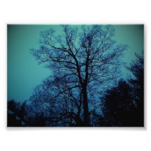 Gespenst-Baum-Druck Kunst Foto