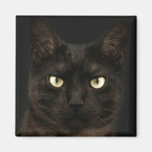 Gespenstische schwarze Katze Magnete