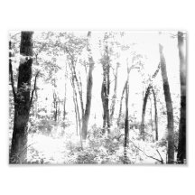 Gespenstischer Wald Kunstphoto