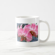 Gestreifte rosa Phalaenopsis-Orchideen Kaffeehaferl