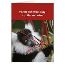 Getrumpfte Lemurkarte