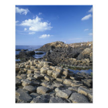 Giants-Damm, Landkreis Antrim, Nord Kunst Foto