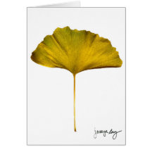 "Gingko" durch J. Maya Luz Grußkarte