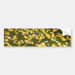 Ginkgo biloba Blätter Autoaufkleber