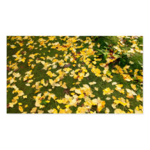 Ginkgo biloba Blätter Visitenkarten Vorlagen