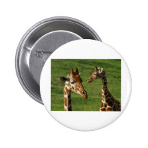 giraffe2 anstecknadelbutton