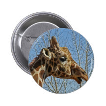 Giraffe Anstecknadel