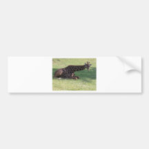 Giraffe Auto Sticker