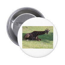 Giraffe Button
