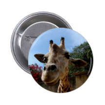 Giraffe Button