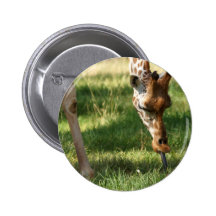 Giraffe erhielt es!!! buttons