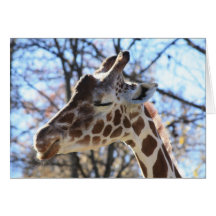 Giraffe Grußkarten