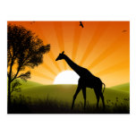Giraffe in Bewegung Postkarten