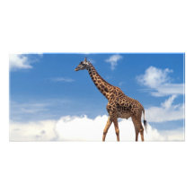 Giraffe Personalisierte Foto Karte