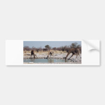 Giraffen Auto Sticker