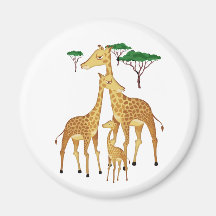 Giraffen-Familie mit Akazien-Bäumen Magnete