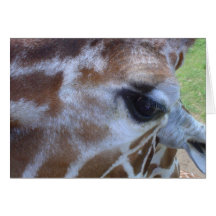 Giraffen-Karte!