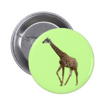Giraffen und Bäume, 长颈鹿. Zoophotographie des wilde Anstecknadelbutton