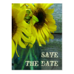 Glas von Sonnenblumen Barnwood Fall Save the Date Postkarte