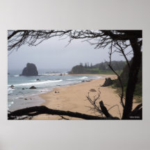 Glashaus schaukelt Strand, Australien Posterdrucke